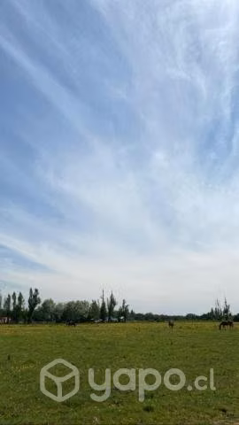 Venta de lote de 5000m^2 , rol propio