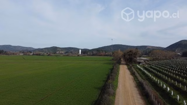 Parcelas en Pichidegua - Imagen 4