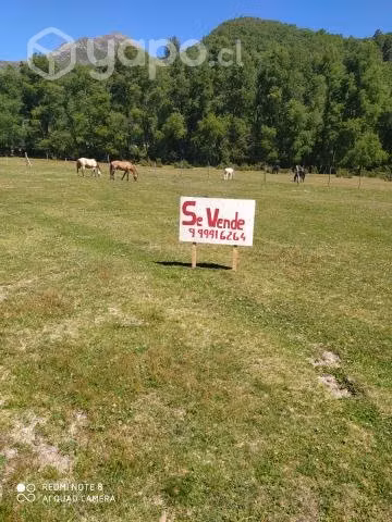 Vendo hermosa parcela camino a Termas de Chillan - Imagen 2