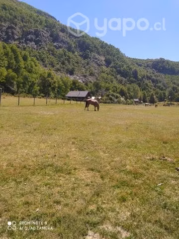 Vendo hermosa parcela camino a Termas de Chillan - Imagen 6