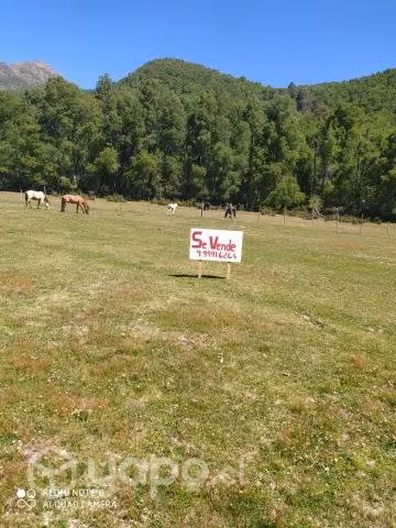 Vendo hermosa parcela camino a Termas de Chillan