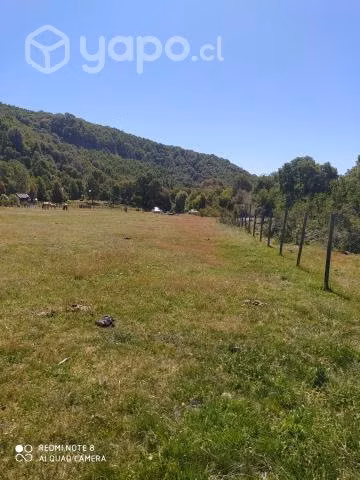 Vendo hermosa parcela camino a Termas de Chillan - Imagen 5