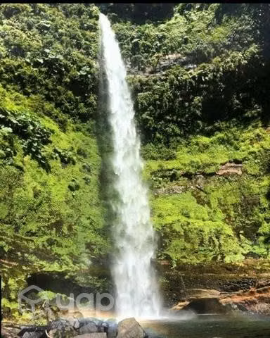 Vendo 1 Parcela de media hectárea - Imagen 9