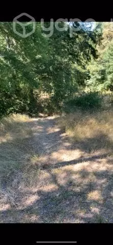 Venta Terreno Cunco - Imagen 5
