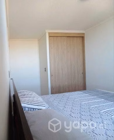 Viña - arriendo departamento amoblado - estudiante - Imagen 4