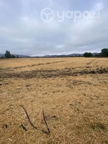 Se vende parcela de 5,4 ha