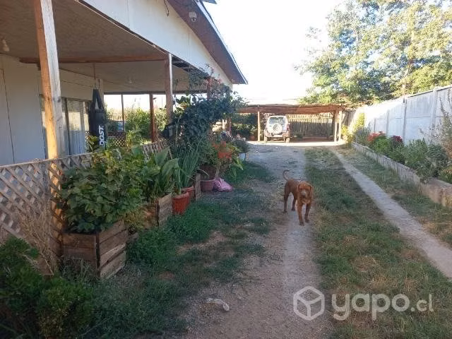 Venta propiedad 859 m2