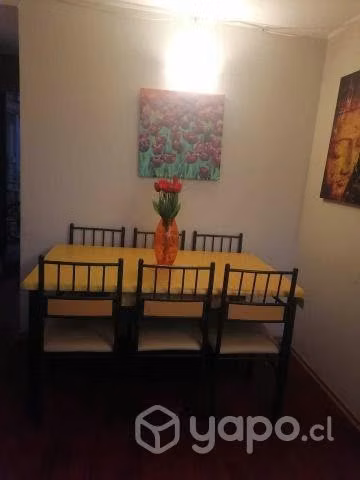 Arriendo departamento amoblado