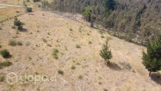 Parcela en Pachagua, comuna de Florida - Imagen 2