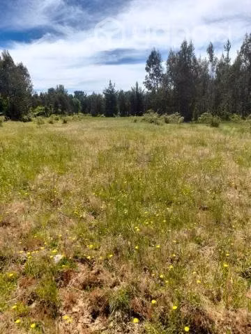 Parcela en Pachagua, comuna de Florida - Imagen 6