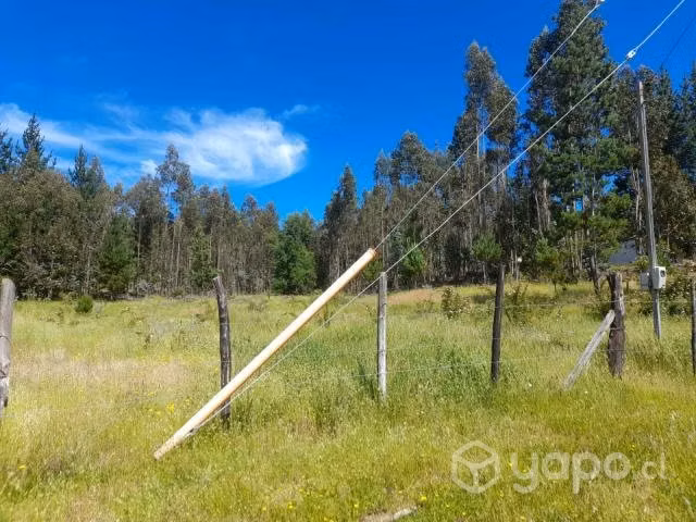 Parcela en Pachagua, comuna de Florida - Imagen 5