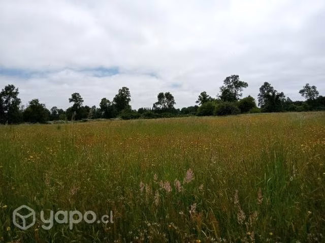 Terreno itropulli paillaco