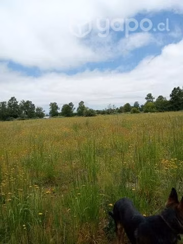 Terreno itropulli paillaco