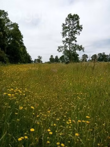 Terreno itropulli paillaco