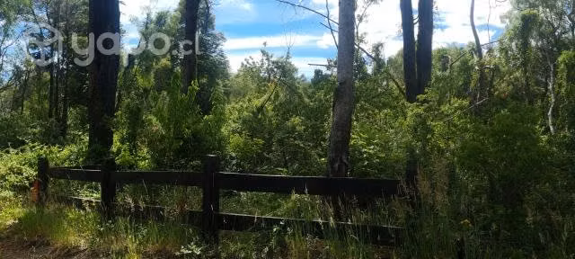 Venta ee Parcela a 10 minutos de Pucón - Imagen 2