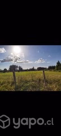 terreno 1/2 hectárea