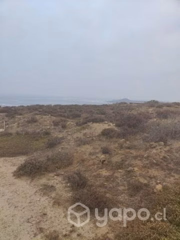 Los Vilos, Ochoquebradas - Parcela 11a
