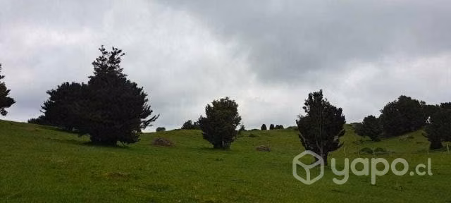 Terreno chiloe - Imagen 11