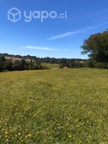 Vendo Campo