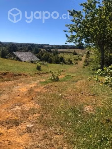 Vendo Campo