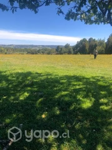 Vendo Campo