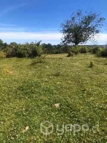 Vendo Campo