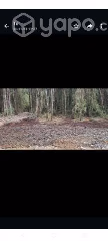 Se vende parcela lista para construir - Imagen 6