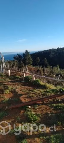 Vendo propiedad con casa (curiñanco bonifacio)