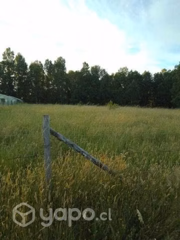 Se vende terreno a 3 km de rio negro - Imagen 5