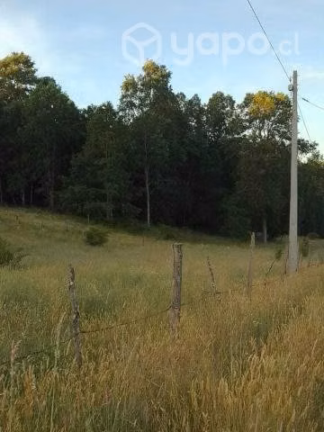 Se vende terreno a 3 km de rio negro - Imagen 2