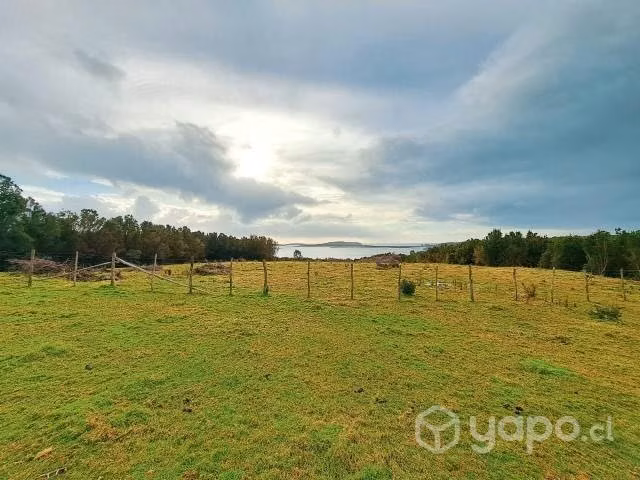Venta de parcelas en isla Butachauques
