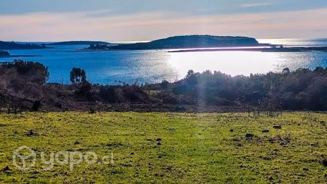 Venta de parcelas en isla Butachauques