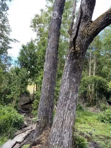 Venta de parcela