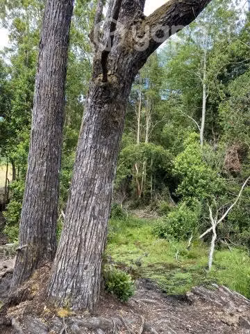 Venta de parcela