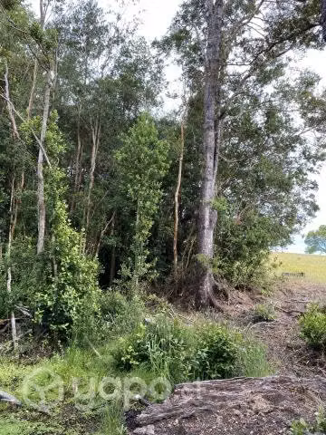 Venta de parcela
