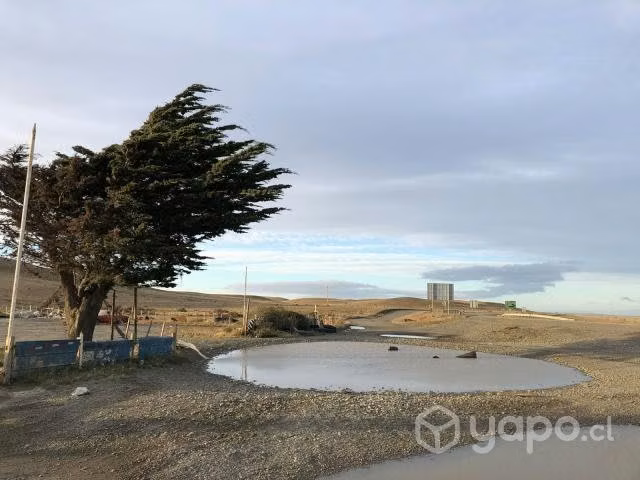Terreno en comuna de san gregorio