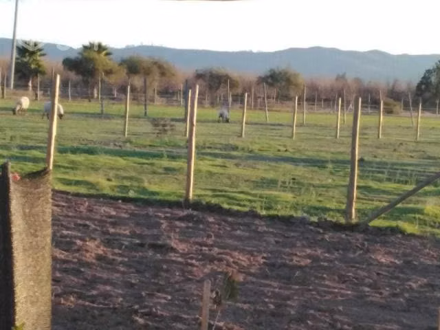 Vendo terreno de 5000 m2 con casa de 158 m2, Lolol