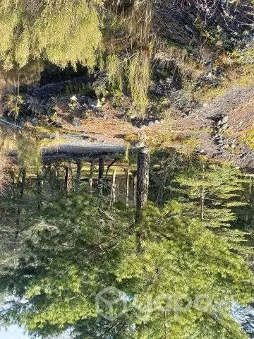 Hermosa parcela Molco Alto - Imagen 10