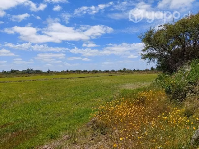 Vendo campo agrícola o estanciero, región de Ñuble