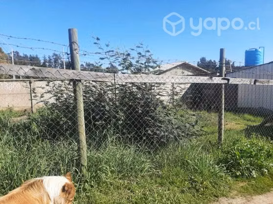 Venta de terreno en pelluhue