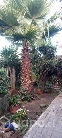 Acogedora cabaña Loncura