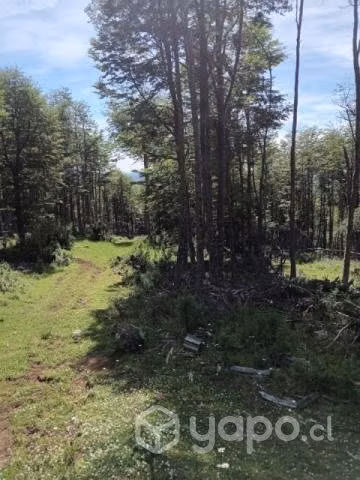 Campo de 67,758 hectáreas