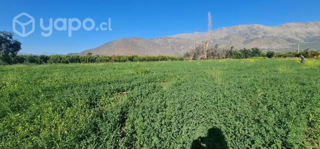 Se vende agroparcela de 5000 mt 2