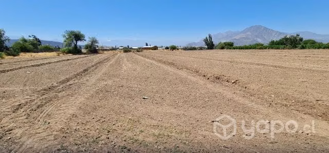 Se vende agroparcela de 5000 mt 2