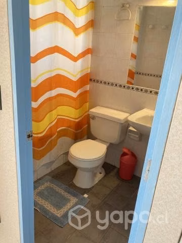 Arriendo Depto Algarrobo Septiembre, Octubre y Noviembre