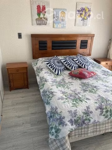 Arriendo Depto Algarrobo Septiembre, Octubre y Noviembre
