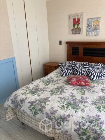 Arriendo Depto Algarrobo Septiembre, Octubre y Noviembre