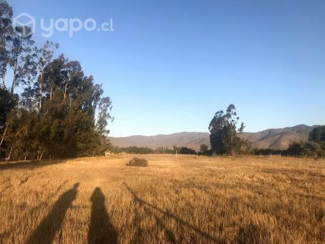 Parcela de Agrado en Pan de Azucar con agua y luz - Imagen 8
