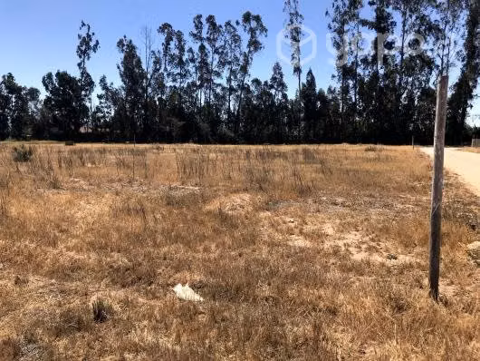 Parcela de Agrado en Pan de Azucar con agua y luz - Imagen 2