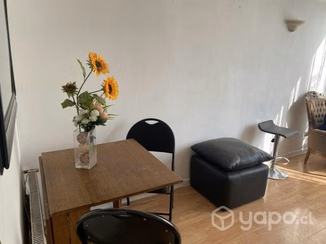 Arriendo Departamento Amoblado
